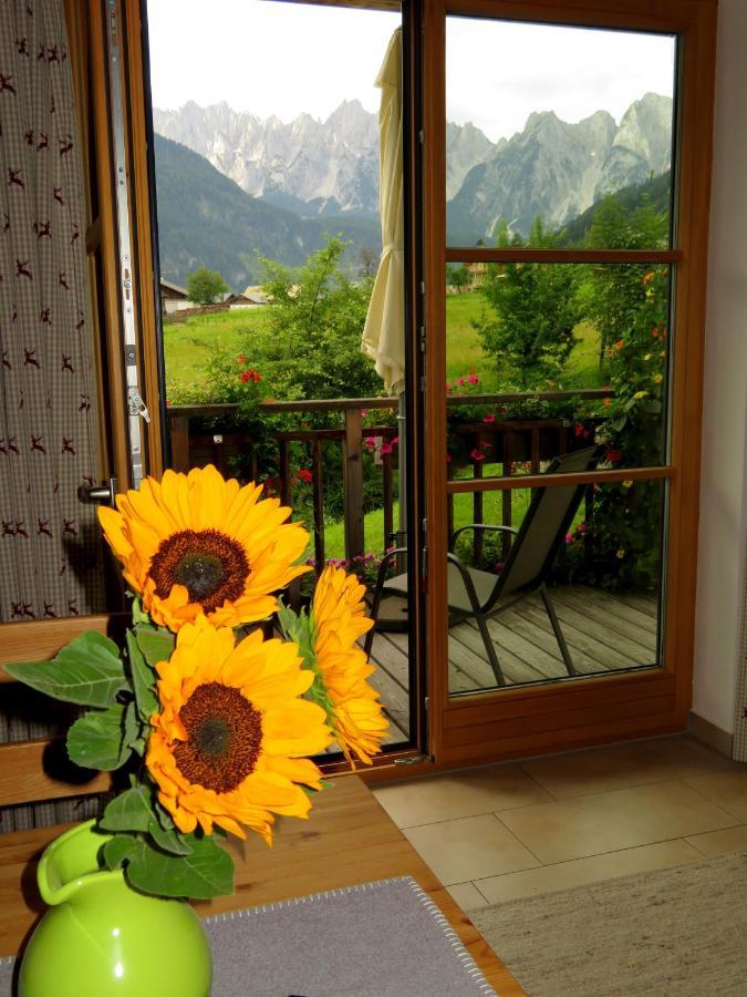 Appartements Gosaukamm.Com 外观 照片