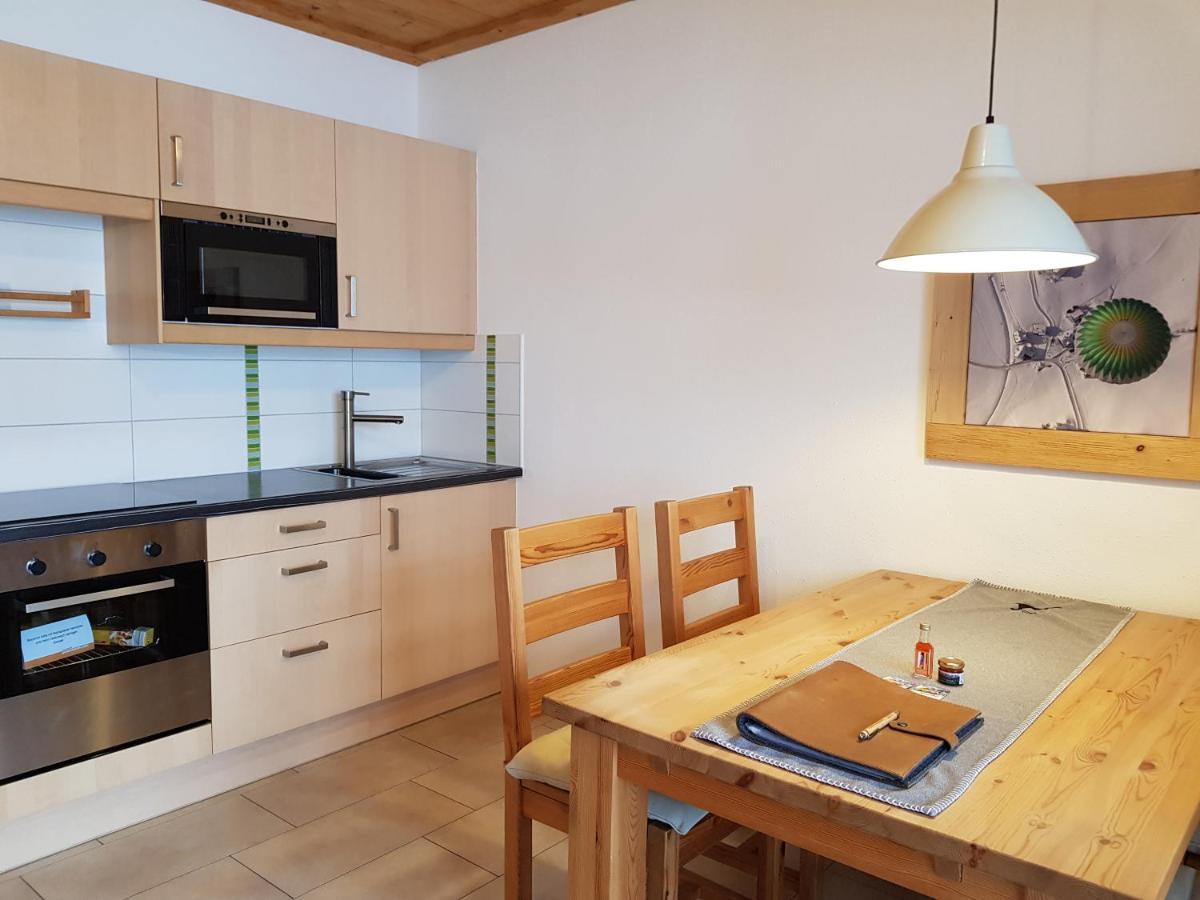 Appartements Gosaukamm.Com 外观 照片