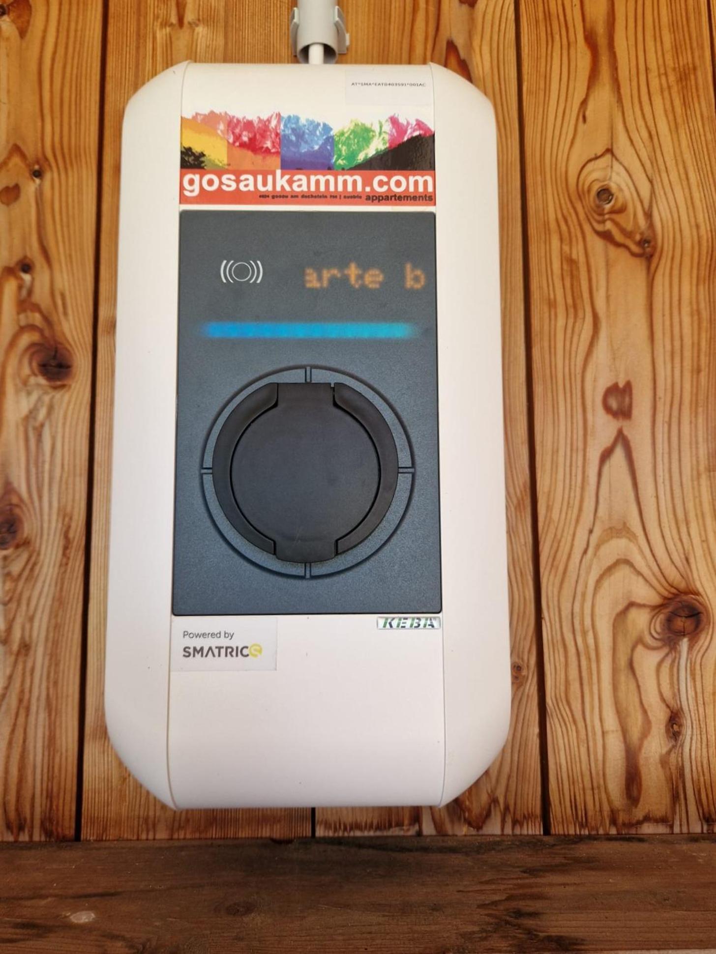 Appartements Gosaukamm.Com 外观 照片