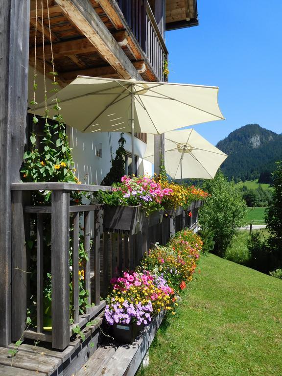Appartements Gosaukamm.Com 外观 照片