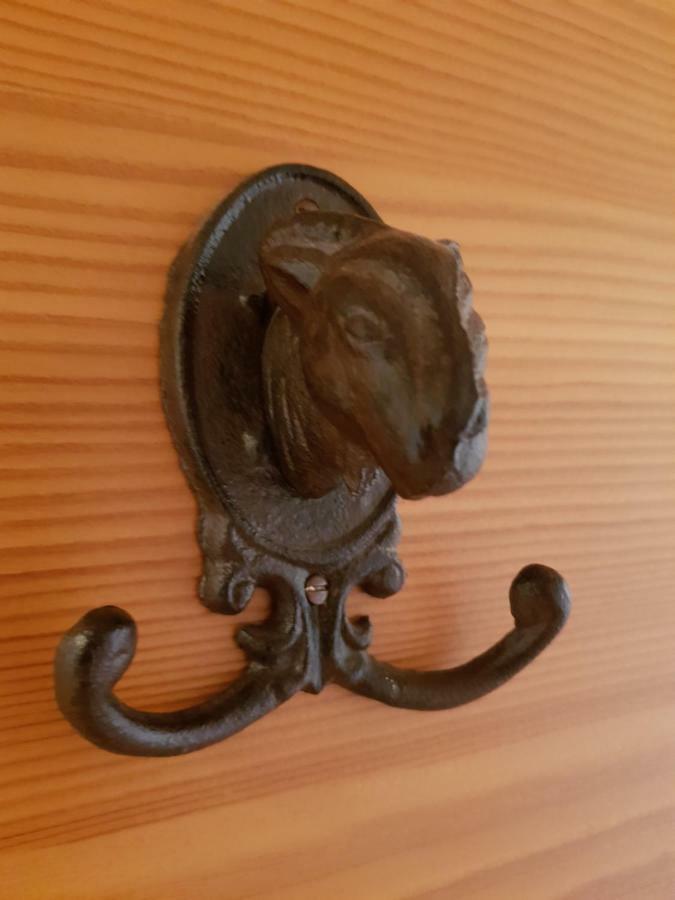 Appartements Gosaukamm.Com 外观 照片