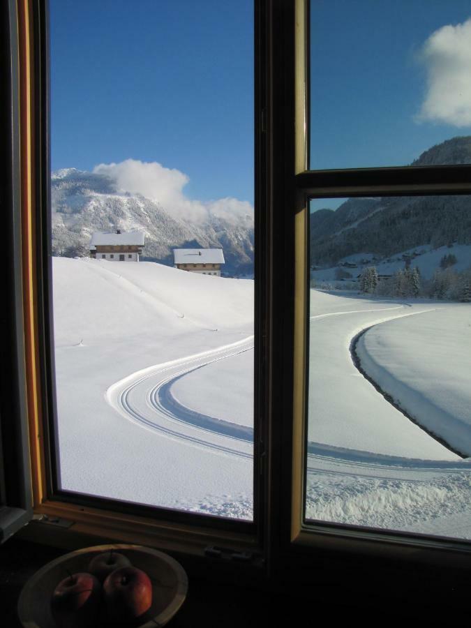 Appartements Gosaukamm.Com 外观 照片