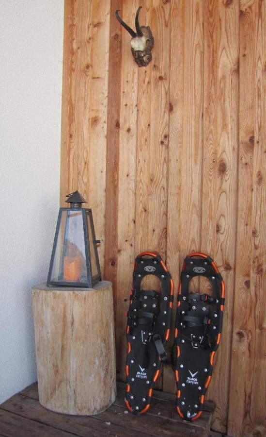 Appartements Gosaukamm.Com 外观 照片
