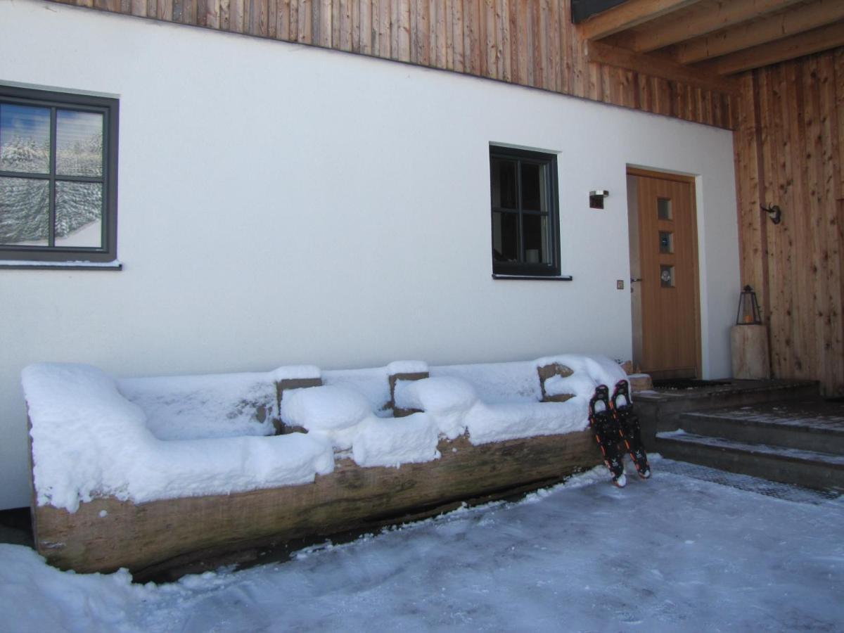 Appartements Gosaukamm.Com 外观 照片