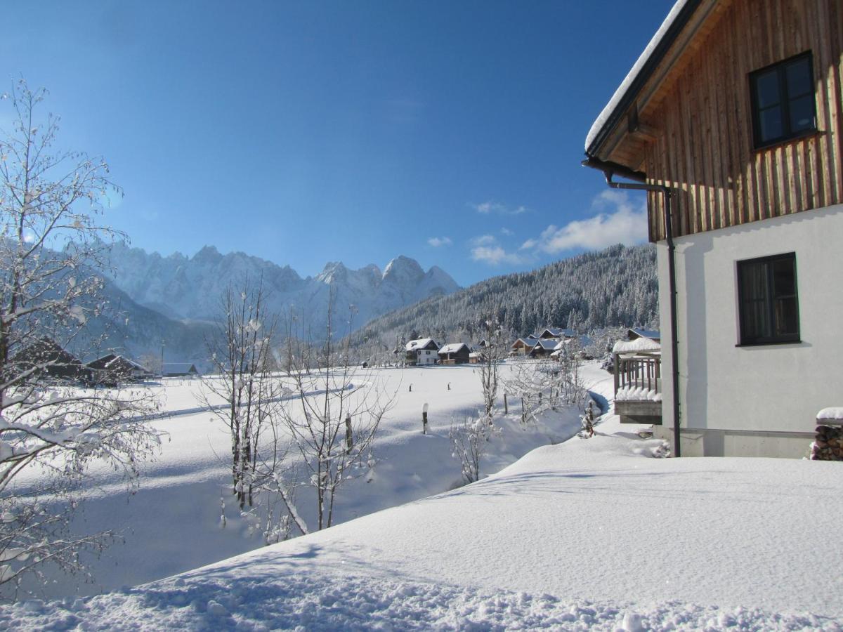 Appartements Gosaukamm.Com 外观 照片